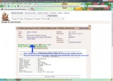 BitTorrent